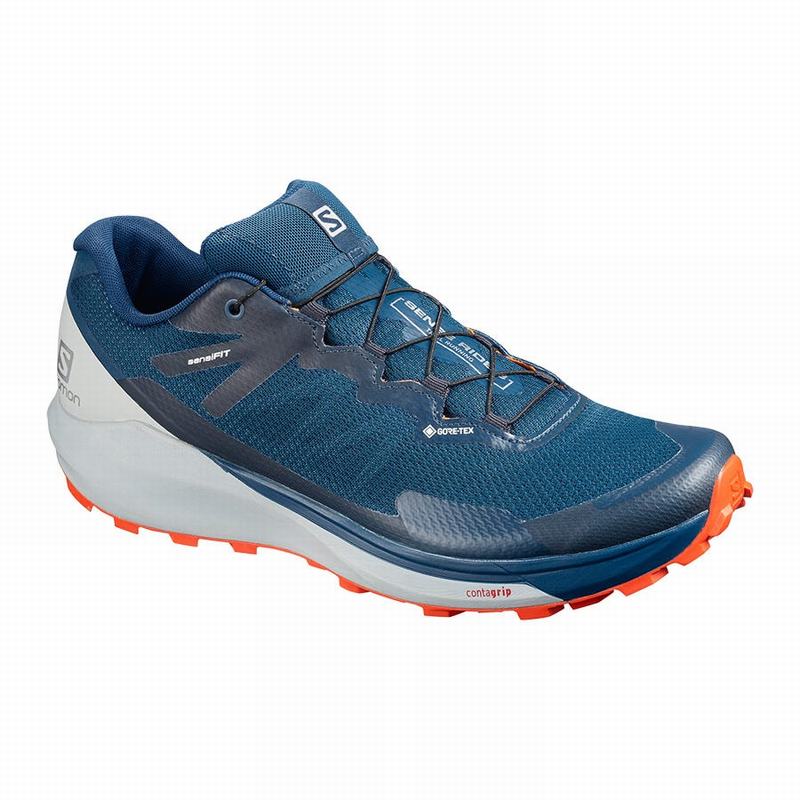 Chaussure Running Salomon Homme Bleu Marine - Salomon SENSE RIDE 3 GTX INVIS. FIT - France (6174-BXV